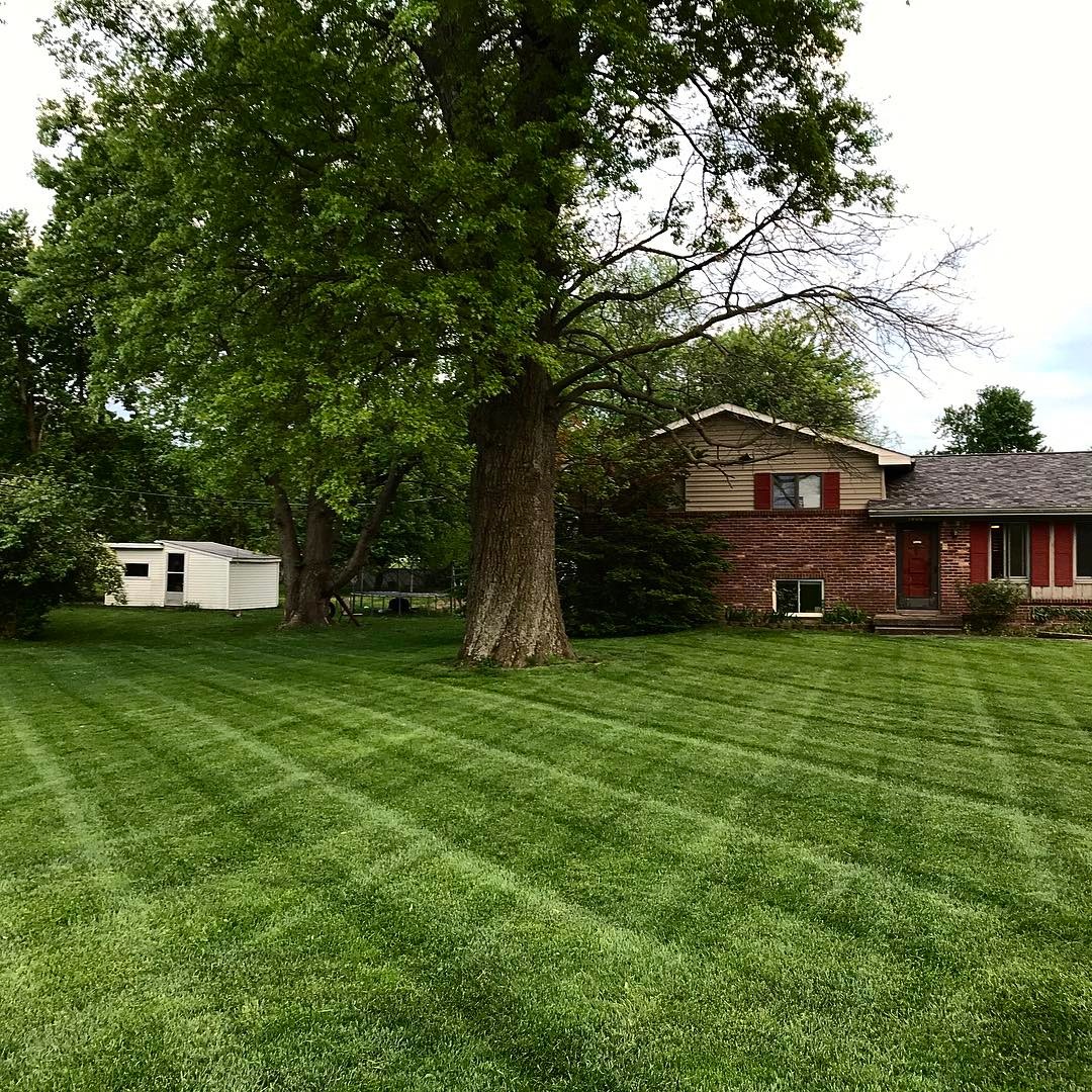The overseeding in the fall really helped.  Best it’s ever looked. – Trevor