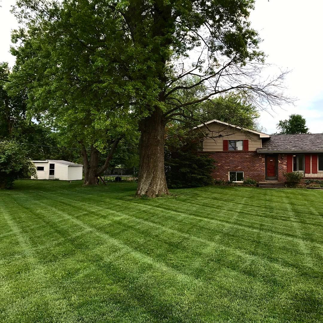 This one is to tag on to @ever_soaringeagle ‘s last post.  My grass has few weeds this year because I planted more grass last fall.  I then fed and fertilized this grass.  I didn’t just spray weed killer and hope for good grass, if I did that I’d just have dirt and I’d have to spray weeds all the time.  But planting and nurturing grass with the occasional weed killer gives me a full nice lawn of thick green grass. #NowLearnAParableOfTheGreenGrass – Trevor
