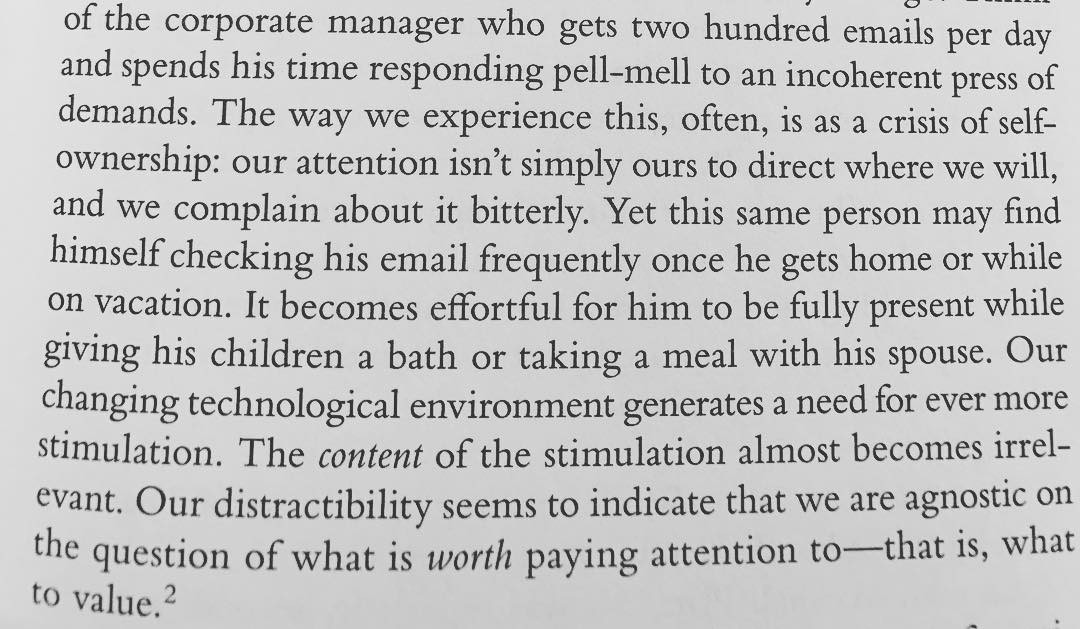 Probably no one will read this, but really why not since it may or may not be worth it?  #ContentBecomingIrrelevant #ScrollForHoursAtNothing – Trevor