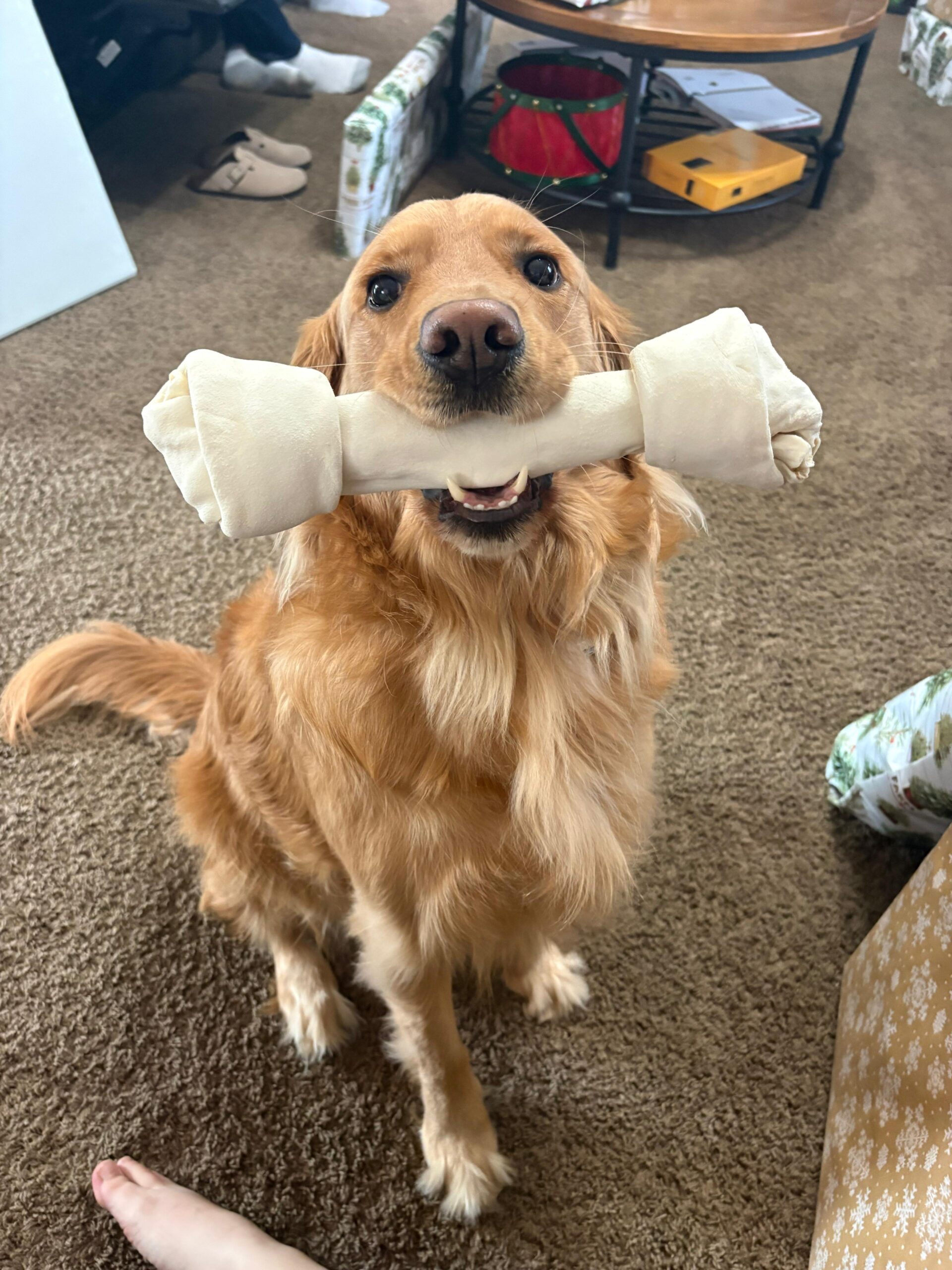 Christmas Eve / Christmas Day